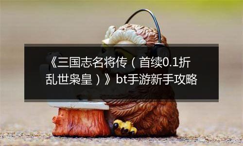 《三国志名将传（首续0.1折乱世枭皇）》bt手游新手攻略