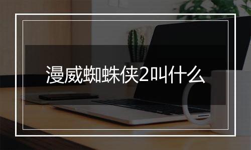 漫威蜘蛛侠2叫什么