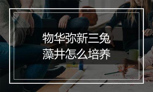 物华弥新三兔藻井怎么培养