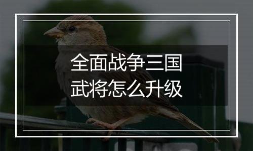 全面战争三国武将怎么升级