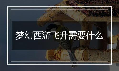 梦幻西游飞升需要什么