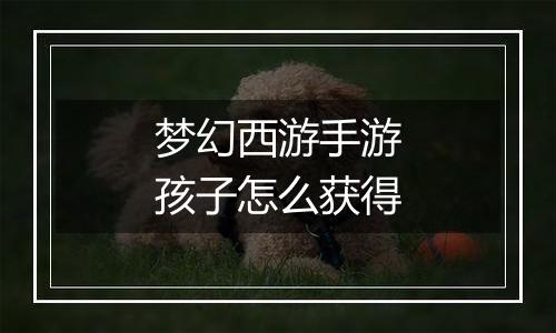梦幻西游手游孩子怎么获得
