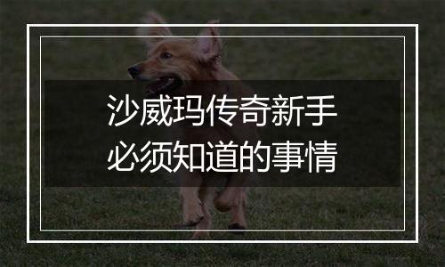 沙威玛传奇新手必须知道的事情