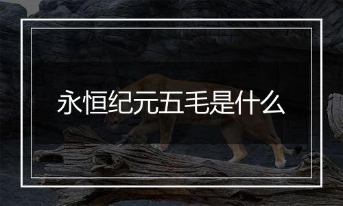 永恒纪元五毛是什么