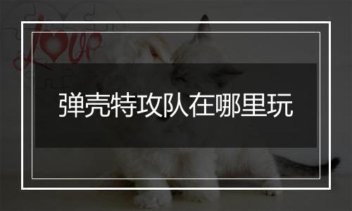 弹壳特攻队在哪里玩