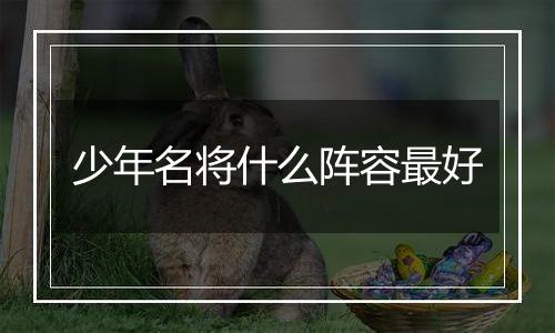 少年名将什么阵容最好