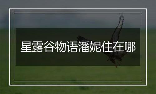 星露谷物语潘妮住在哪