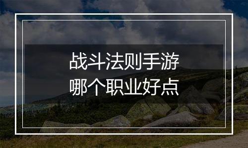 战斗法则手游哪个职业好点
