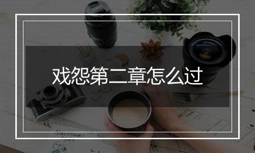 戏怨第二章怎么过
