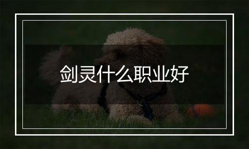 剑灵什么职业好