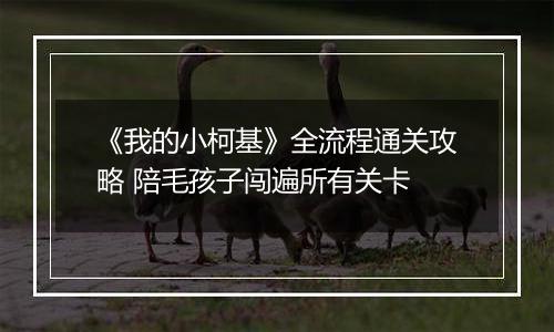《我的小柯基》全流程通关攻略 陪毛孩子闯遍所有关卡