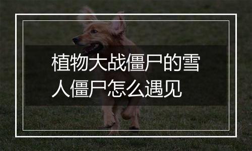 植物大战僵尸的雪人僵尸怎么遇见