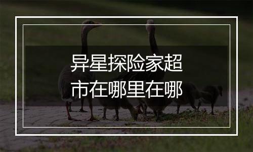 异星探险家超市在哪里在哪