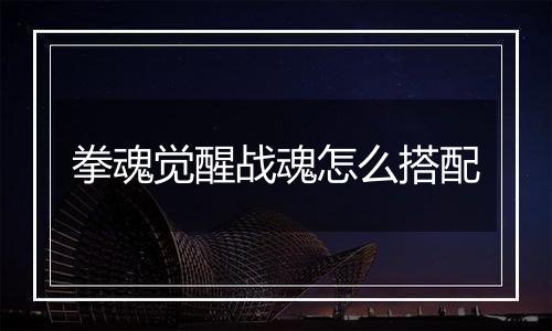 拳魂觉醒战魂怎么搭配