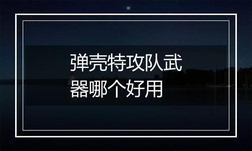 弹壳特攻队武器哪个好用