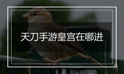 天刀手游皇宫在哪进