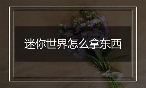 迷你世界怎么拿东西