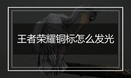 王者荣耀铜标怎么发光