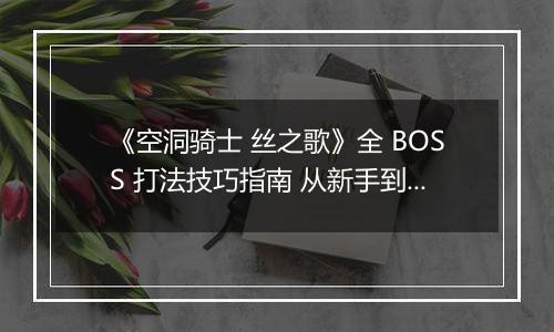 《空洞骑士 丝之歌》全 BOSS 打法技巧指南 从新手到大师的进阶之路