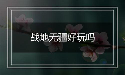战地无疆好玩吗