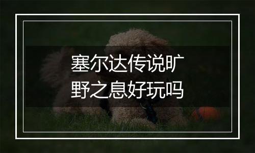 塞尔达传说旷野之息好玩吗