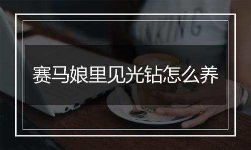 赛马娘里见光钻怎么养