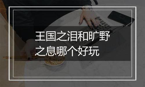 王国之泪和旷野之息哪个好玩