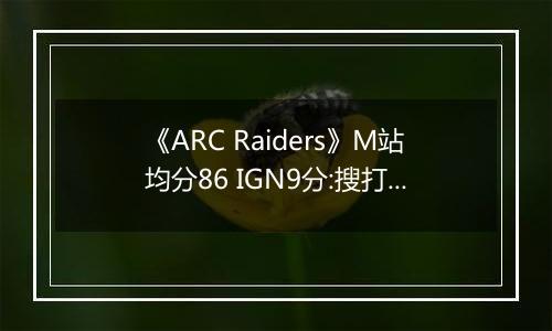 《ARC Raiders》M站均分86 IGN9分:搜打撤新标杆