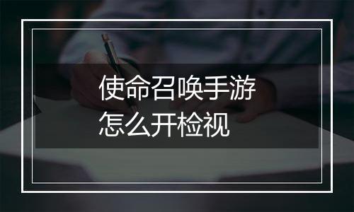 使命召唤手游怎么开检视