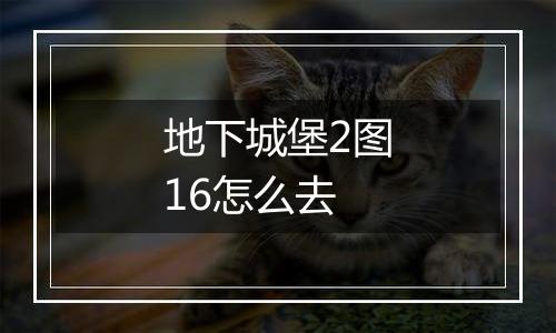 地下城堡2图16怎么去