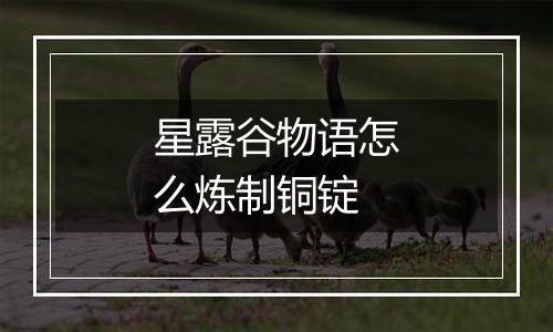 星露谷物语怎么炼制铜锭