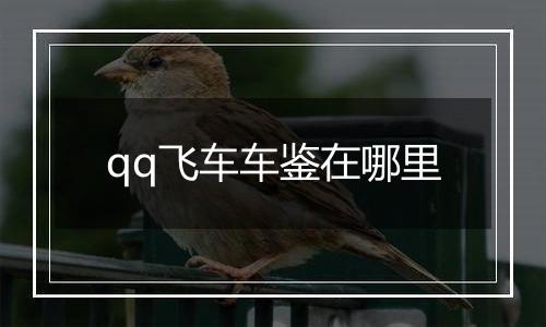 qq飞车车鉴在哪里