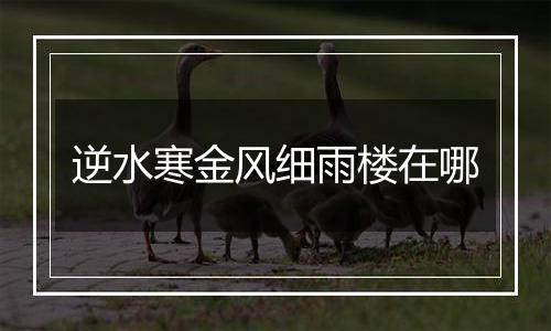 逆水寒金风细雨楼在哪