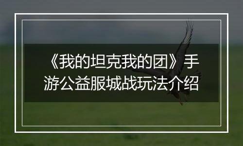 《我的坦克我的团》手游公益服城战玩法介绍