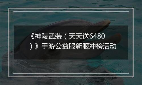 《神陵武装（天天送6480）》手游公益服新服冲榜活动