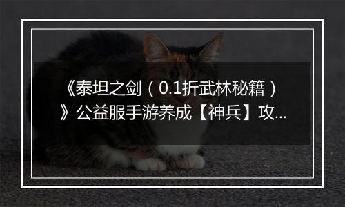 《泰坦之剑（0.1折武林秘籍）》公益服手游养成【神兵】攻略
