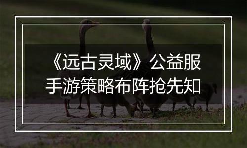 《远古灵域》公益服手游策略布阵抢先知