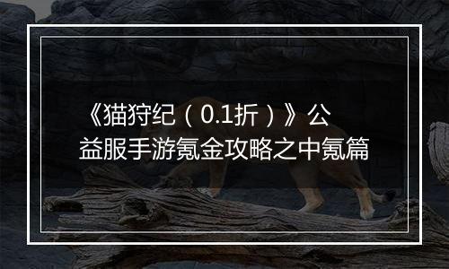 《猫狩纪（0.1折）》公益服手游氪金攻略之中氪篇