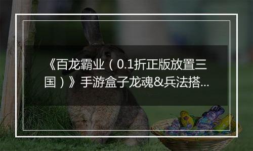 《百龙霸业（0.1折正版放置三国）》手游盒子龙魂&兵法搭配