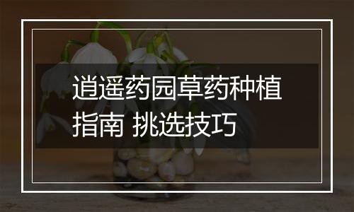 逍遥药园草药种植指南 挑选技巧