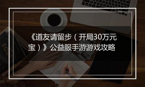 《道友请留步（开局30万元宝）》公益服手游游戏攻略