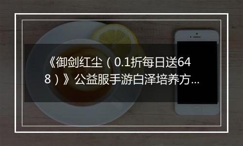 《御剑红尘（0.1折每日送648）》公益服手游白泽培养方案