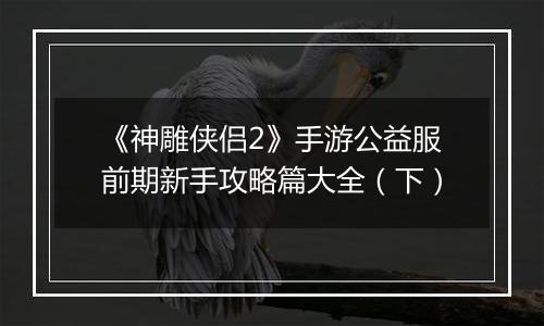 《神雕侠侣2》手游公益服前期新手攻略篇大全（下）