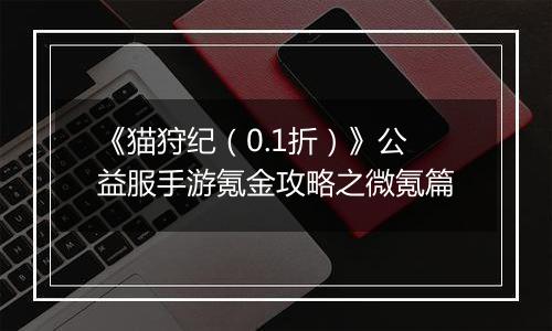 《猫狩纪（0.1折）》公益服手游氪金攻略之微氪篇