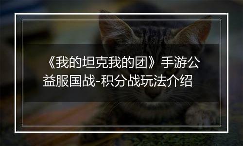 《我的坦克我的团》手游公益服国战-积分战玩法介绍