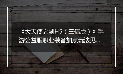 《大天使之剑H5（三倍版）》手游公益服职业装备加点玩法见解