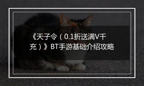 《天子令（0.1折送满V千充）》BT手游基础介绍攻略