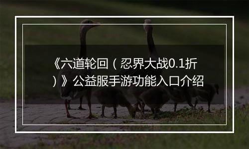 《六道轮回（忍界大战0.1折）》公益服手游功能入口介绍