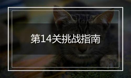 第14关挑战指南