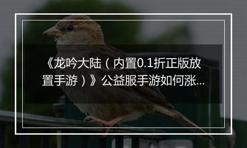 《龙吟大陆（内置0.1折正版放置手游）》公益服手游如何涨战力